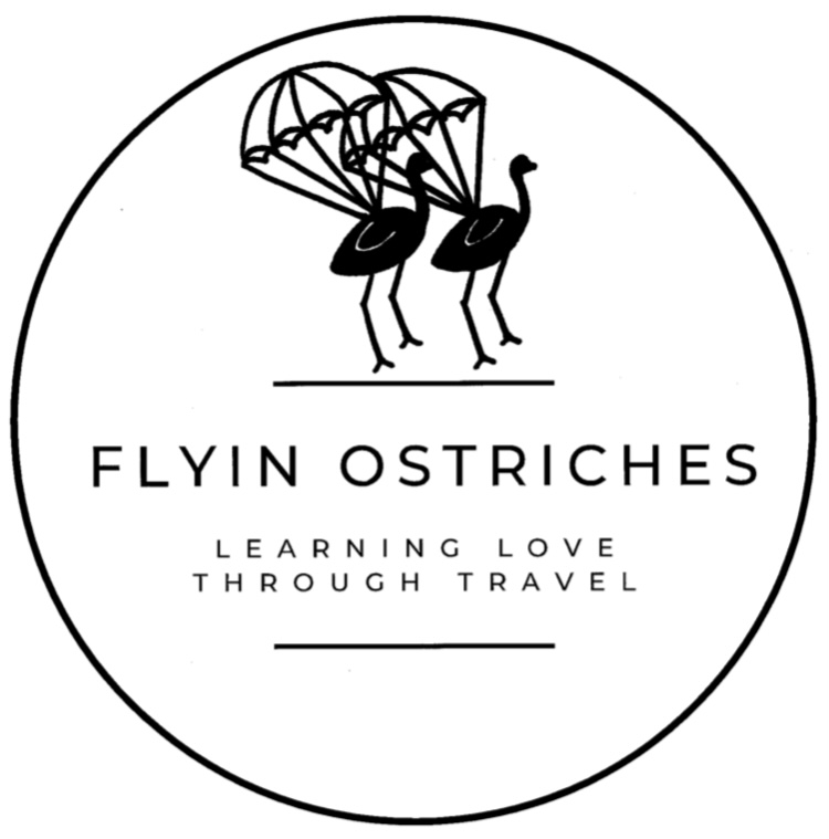 Flyin Ostriches